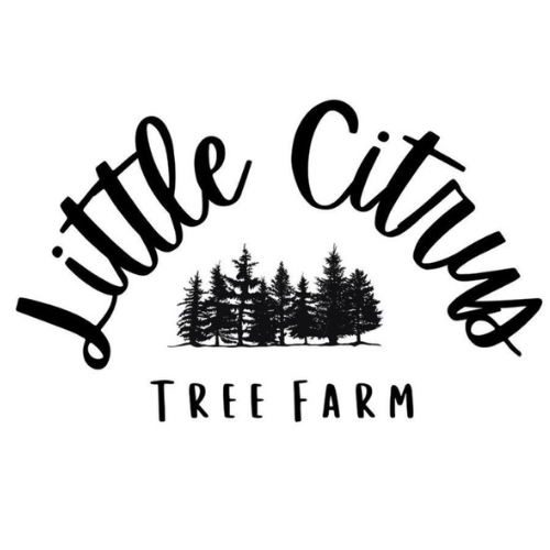 Little Citrus Co.